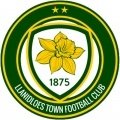 Escudo del Llanidloes Town FC