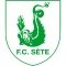 club crest