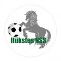 Escudo del Ilukstes NSS