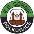 Escudo del Gornik Polkowice