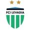 Club crest