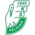 Pelikan Lowicz