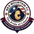 Escudo del BEA Mountain