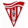 Escudo del Bullas Deportivo FS
