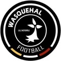 Wasquehal Sub 19