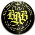 Escudo del Brandbergen