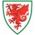 Escudo Gales Sub 21