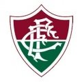 Escudo del Fluminense Sub 17