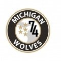 Escudo del Michigan Wolves Sub 14