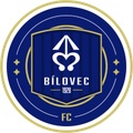 Bílovec