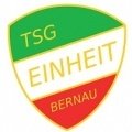 Escudo del TSG Einheit Bernau