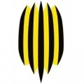 Rukh Lviv U19