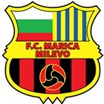 Club crest