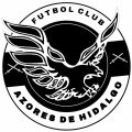 Escudo del Azores de Hidalgo