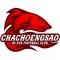 Chachoengsao Hi-Tek