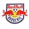 Escudo del Red Bull Akademie Sub 15