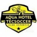 Escudo del Aqua Hotel FC