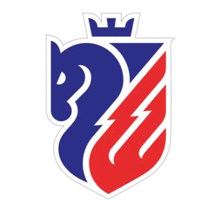 Botosani Sub 19