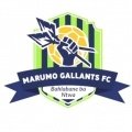 Escudo del Marumo Gallants FC