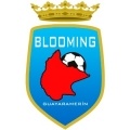 Escudo Blooming Guayaramerín