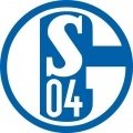 Escudo del Schalke 04 Sub 15