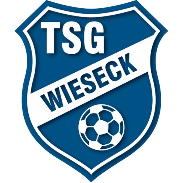Escudo del TSG Wieseck Sub 15