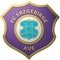 Erzgebirge Aue U17