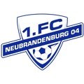 Escudo del Neubrandenburg 04 Sub 17