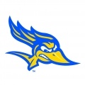 Cal State Bakersfield?size=60x&lossy=1