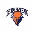 >Bucknell Bison