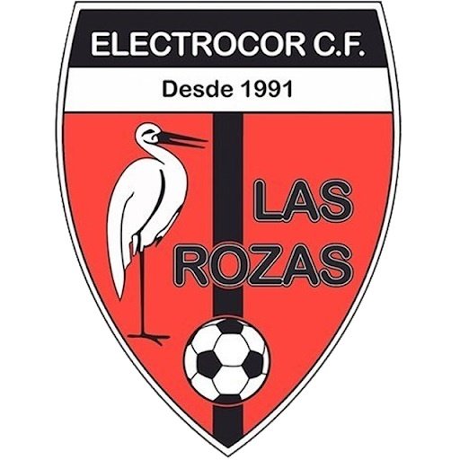 Electrocor Las Rozas B