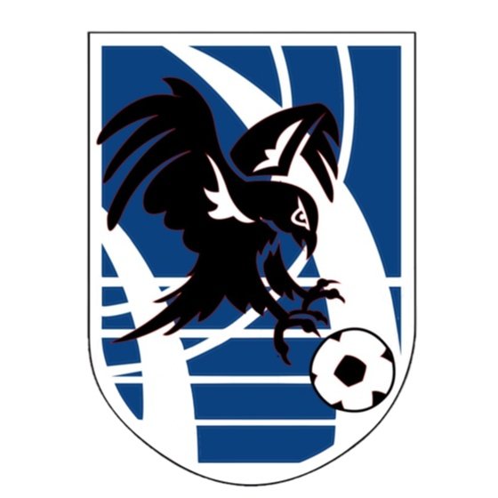 Escudo del Fuenlabrada Falcons B