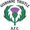 Gisborne Thistle