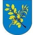 Escudo del Edinstvo Dzerzhinsk