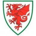 Escudo del Gales B