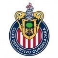 Escudo del Chivas Guadalajara Sub 18