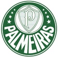 Palmeiras FC Sub 15?size=60x&lossy=1