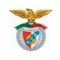 Escudo del Viseu e Benfica Sub 15