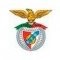 Viseu e Benfica Sub 15