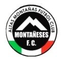 Club crest