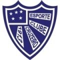Escudo del Cruzeiro RS Sub 17