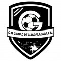 Escudo del Ciudad De Guadalajara FS