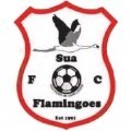 Sua Flamingoes