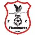 Sua Flamingoes