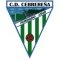 Club crest