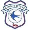 Cardiff City Sub 16