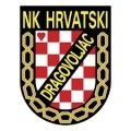 Hrvatski Dragovoljac Academ