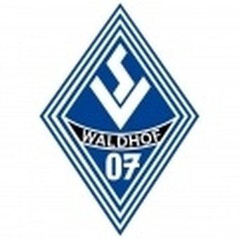Waldhof Mannheim Academy