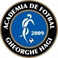 Gheorghe Hagi Academy