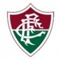 Fluminense Academy